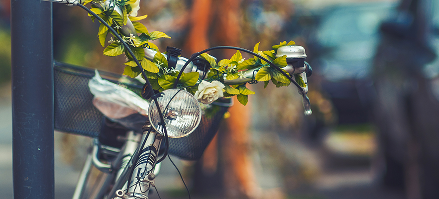 Vintage Bike Tour along the Way of Love